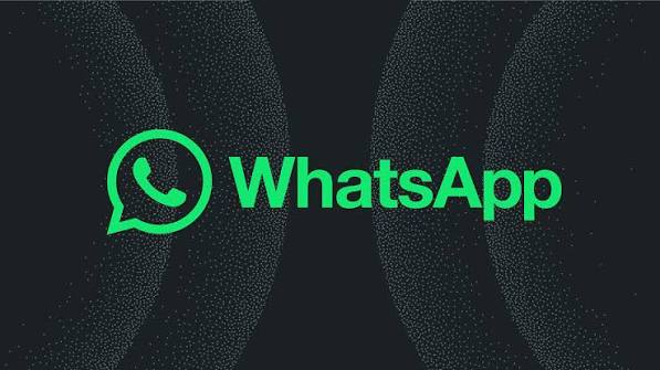Tally on WhatsApp